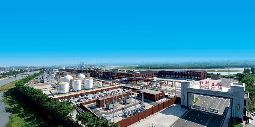 1715936967115888.png 23、四川和邦生物科技股份有限公司.png